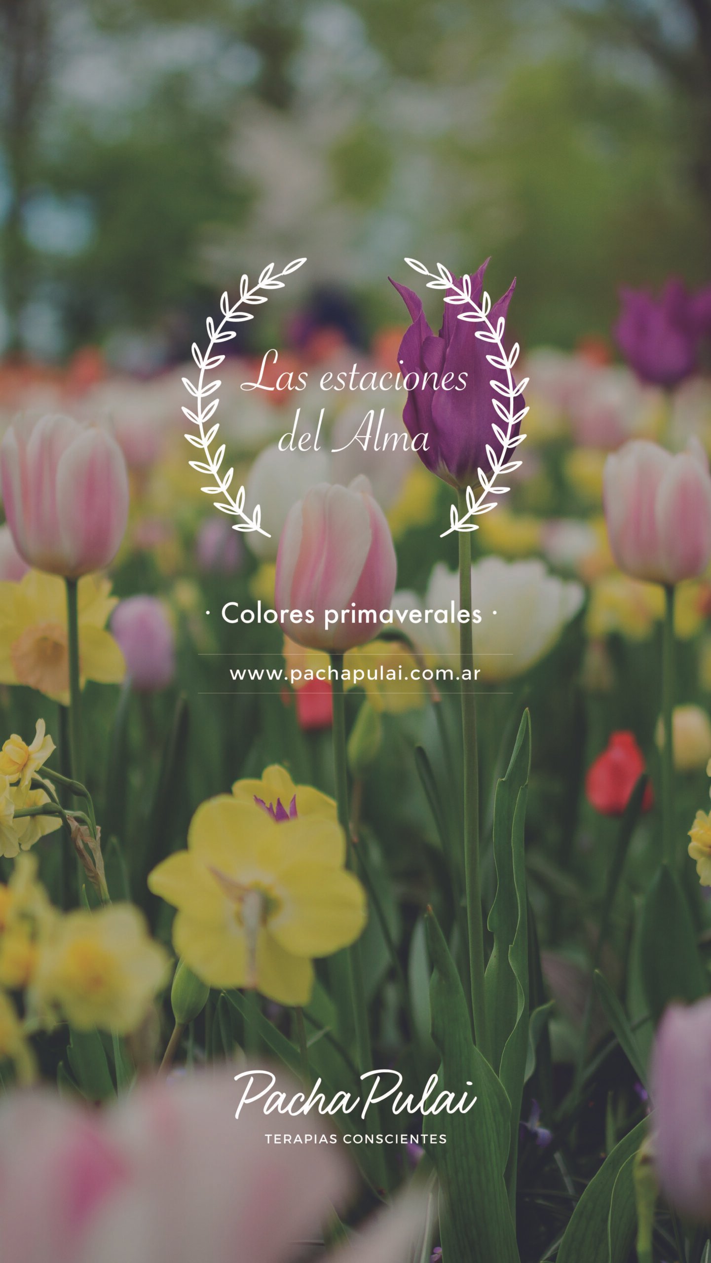 Estaciones del Alma; Colores Primaverales