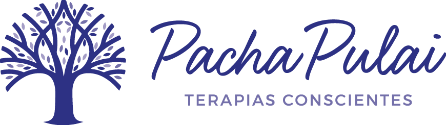 Pacha Pulai | Encuentros