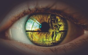 Camino de Consciencia y Transformación