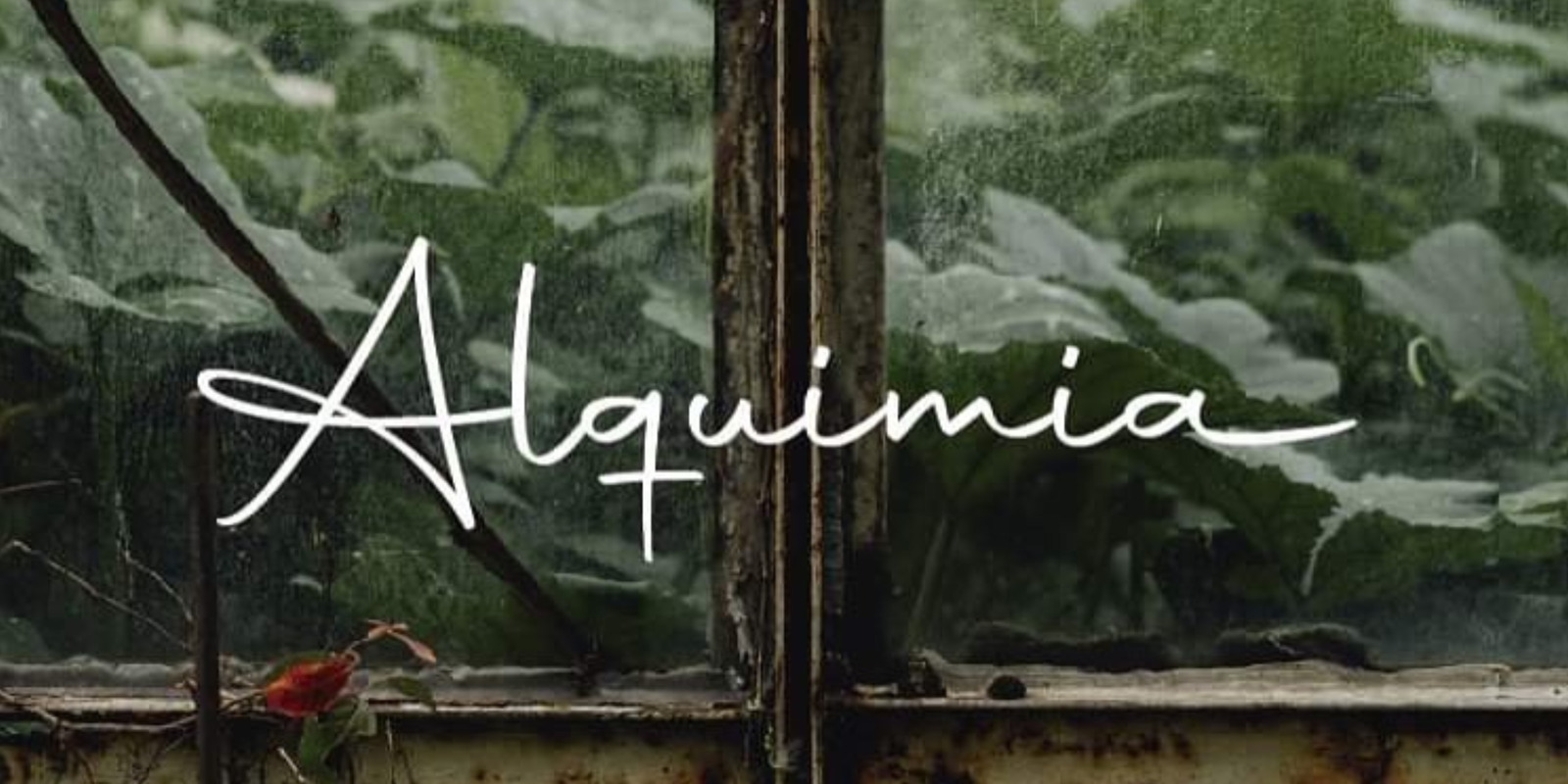 Diseño sin título (12) Pacha Pulai